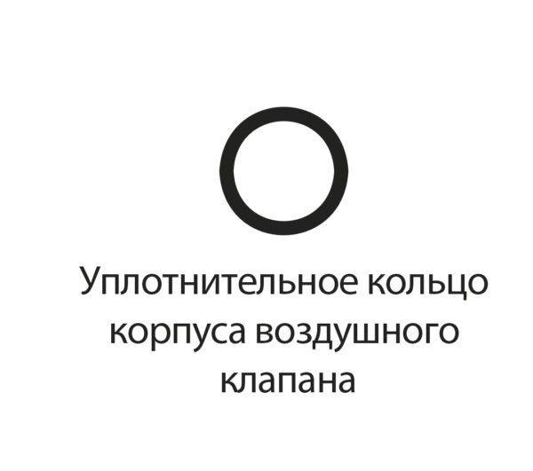 Уплотнит. кольцо корпуса возд. клапана (INKEDKATANA, NINJA, RITUAL 900MAC)